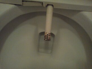 トイレのノズル(カビ)