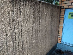 壁の汚れ